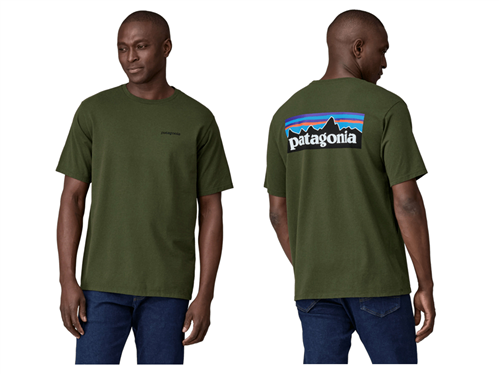 Patagonia P-6 Logo Responsibili-Tee, Torrey Pine Green