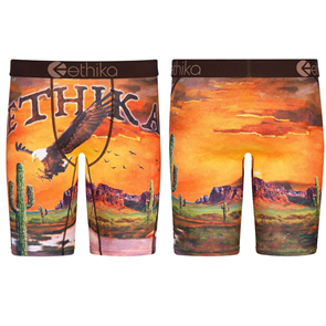 Ethika Boys Sedona Night Staple Underwear