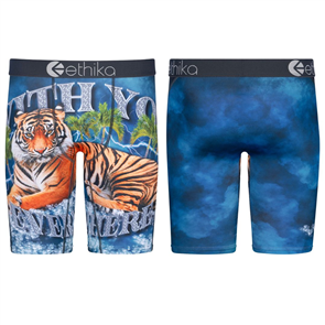 Ethika Boys Bengal Bags Staple Underwear