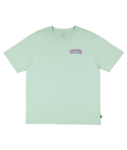 Billabong 73 ARCH SS TEE, MIST GREEN